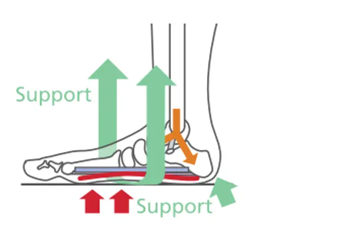 Шин и подбедрица